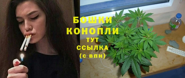 гидра Ладушкин