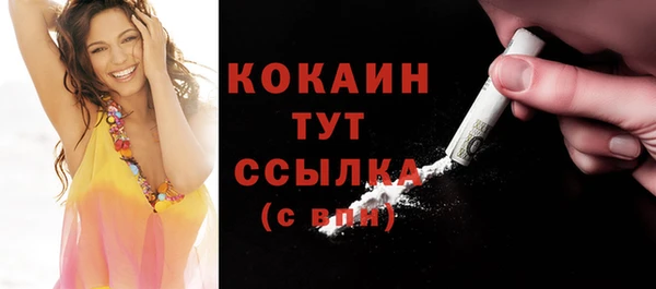гидра Ладушкин