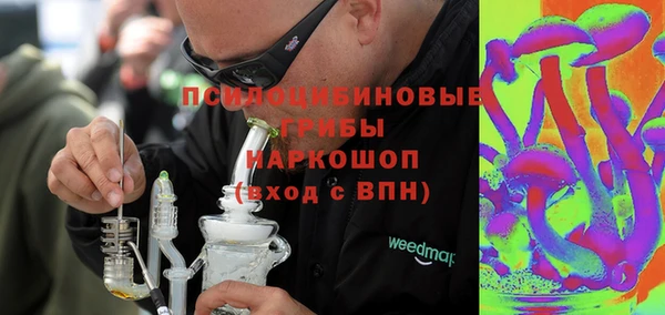 гидра Ладушкин