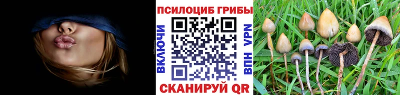 блэк спрут онион Холмск Галлюциногенные грибы Cubensis