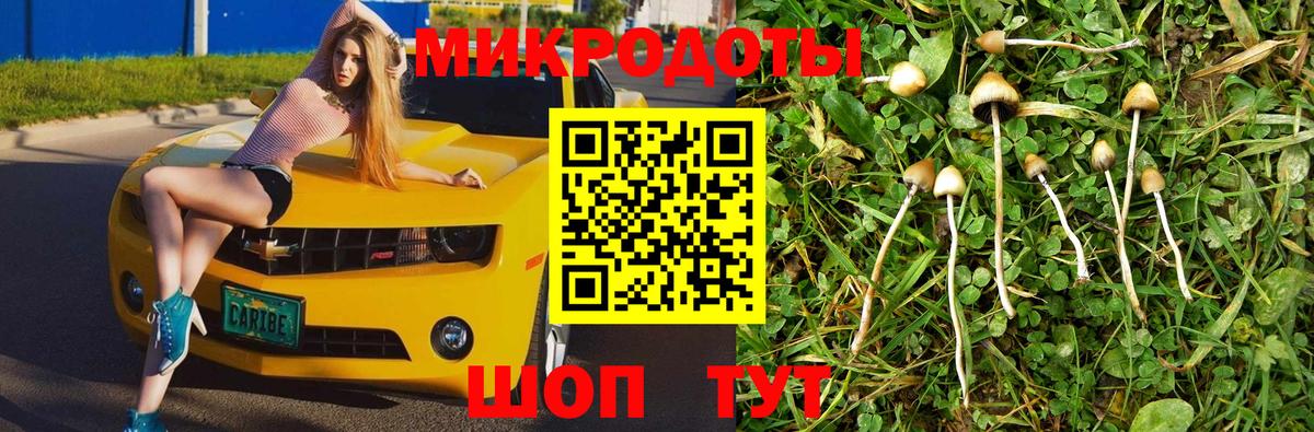 Галлюциногенные грибы мухоморы Холмск